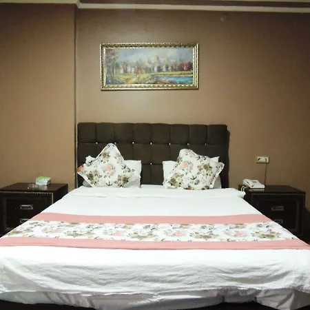 Hotel Saray